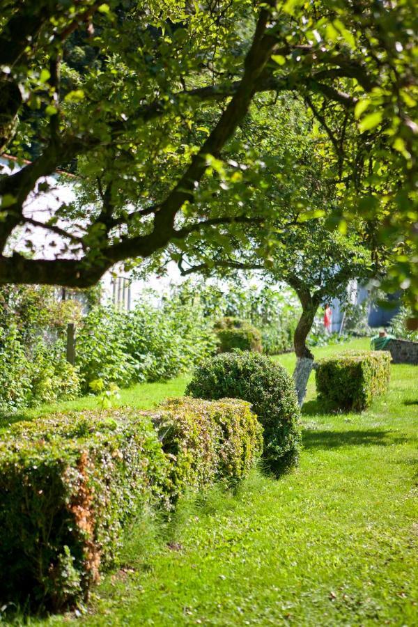 Lozerkasteel Ξενοδοχείο Kruishoutem Εξωτερικό φωτογραφία